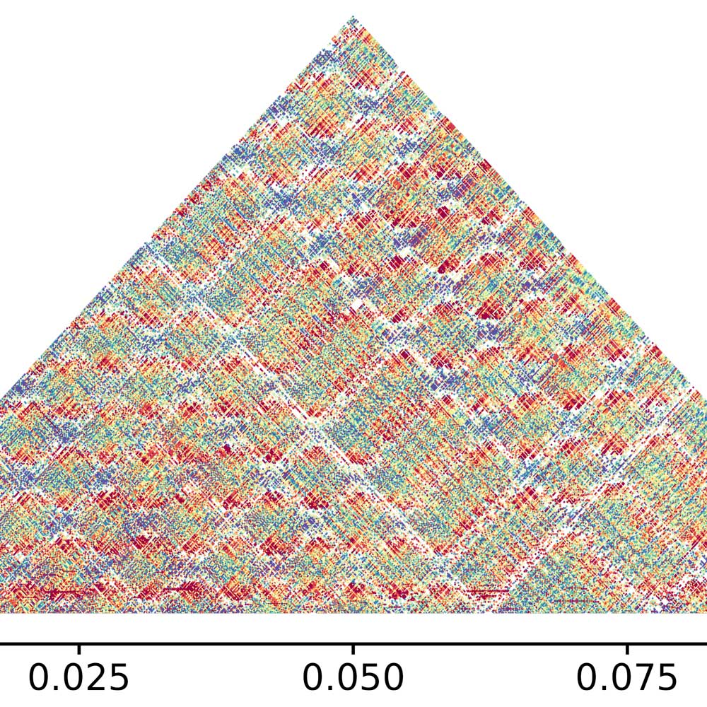 Satellite DNA Art Studio