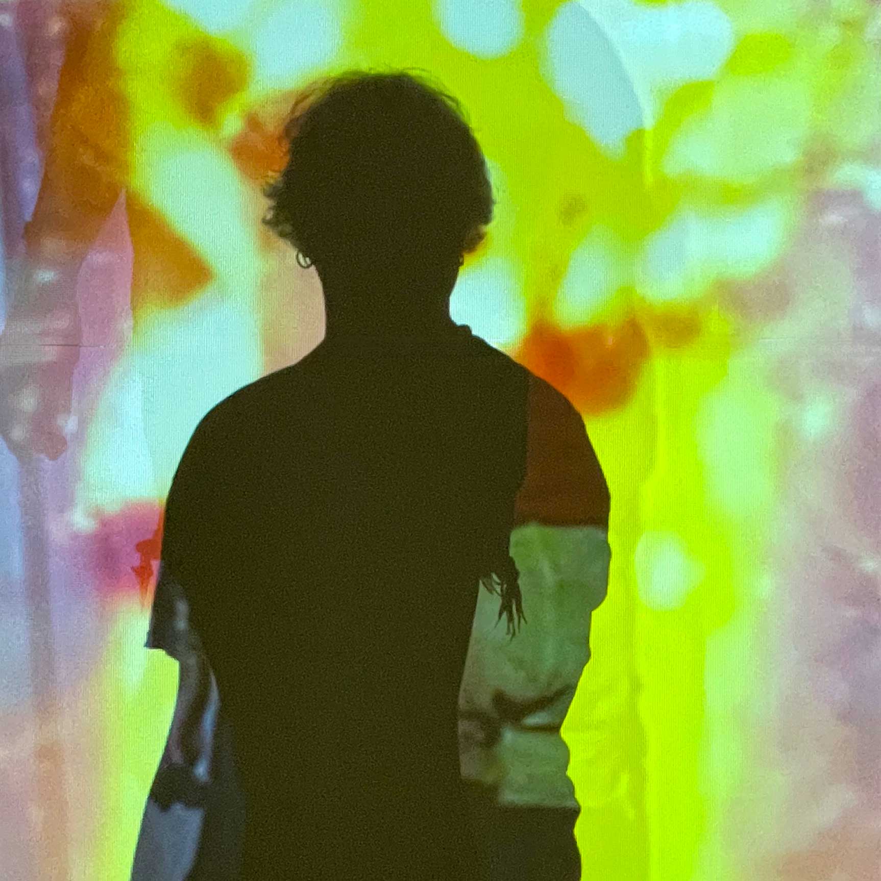 neuroline Video Installation Series